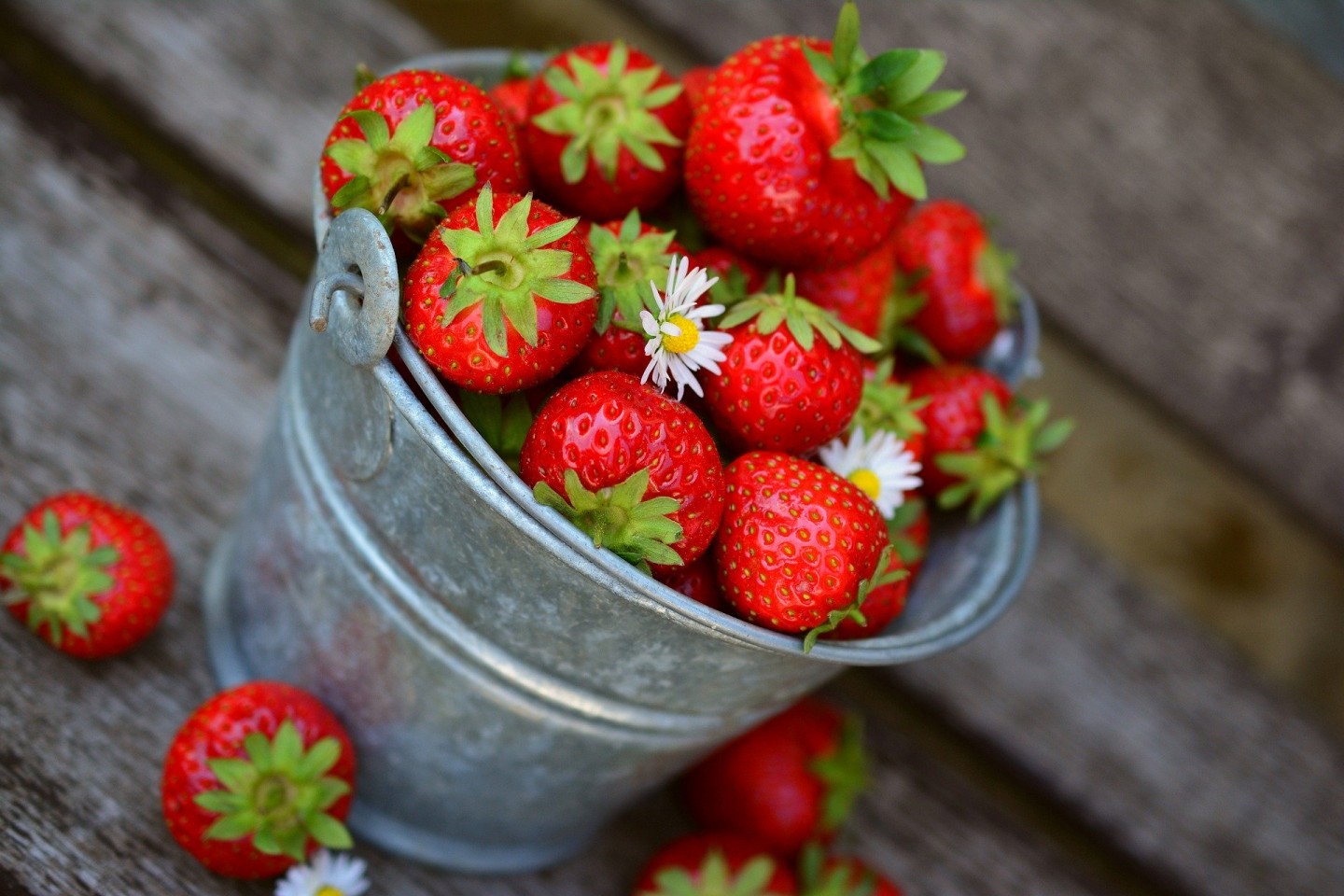 strawberries-3431122_1920