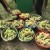 IMG-20190928-WA0004